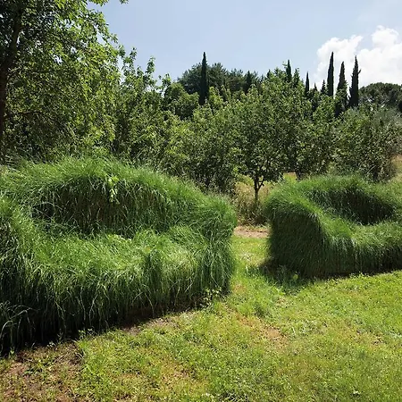 Casa de Campo Il Giardino Di Daniel Spoerri *