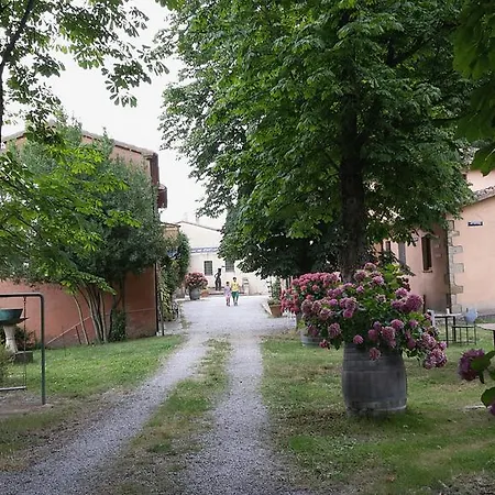 Il Giardino Di Daniel Spoerri Seggiano